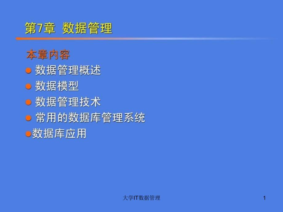 大学IT数据管理课件_第1页