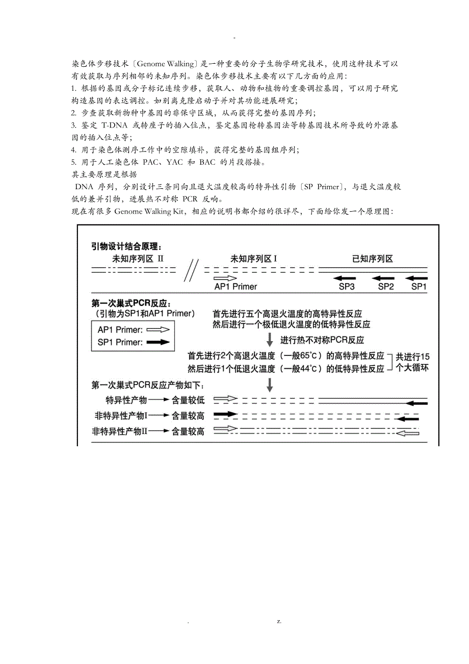 染色体步移步骤_第1页