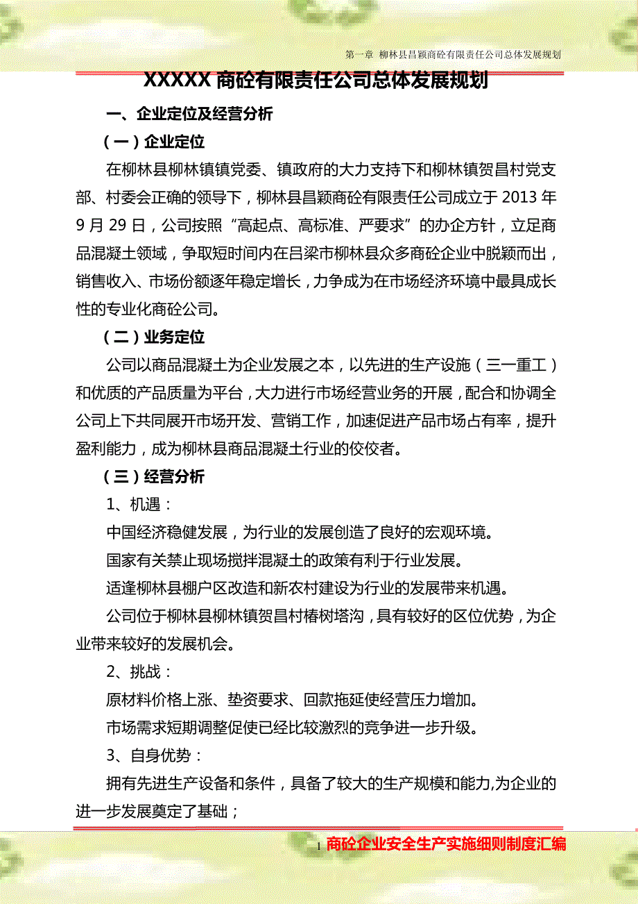 XXX商砼有限责任公司总体发展规划_第1页