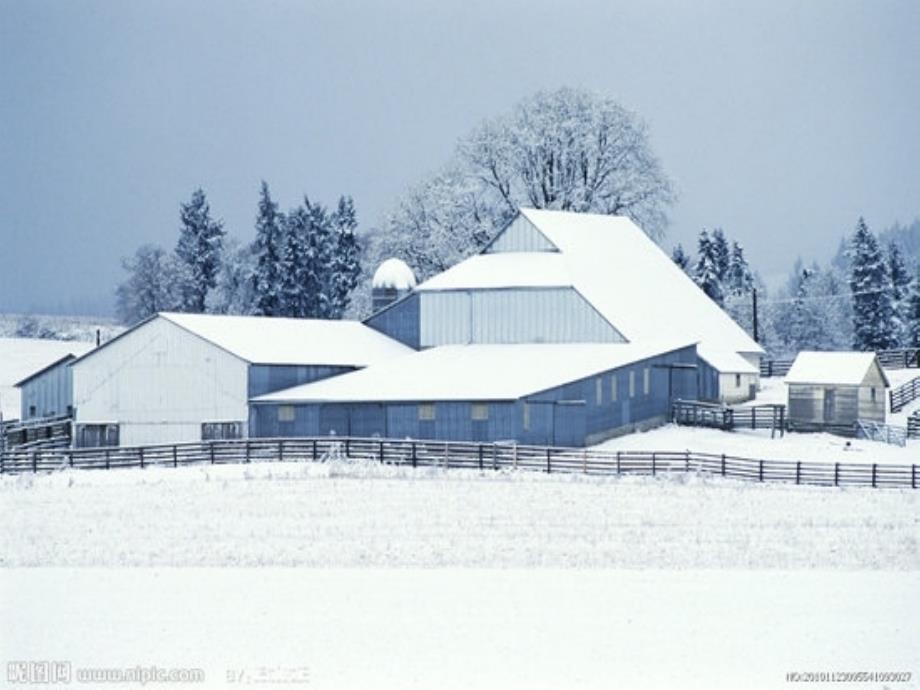 雪地里的小画家PPT_第2页