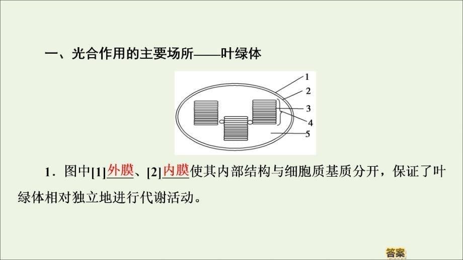 高中生物第4章第2节第2课时光合作用的过程影响光合作用的环境因素课件苏教版必修1_第5页