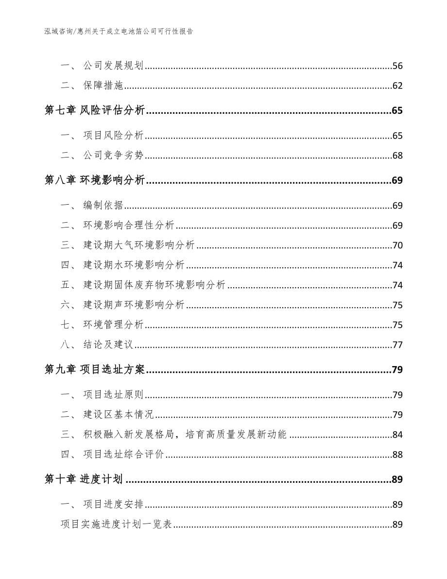 惠州关于成立电池箔公司可行性报告_第5页