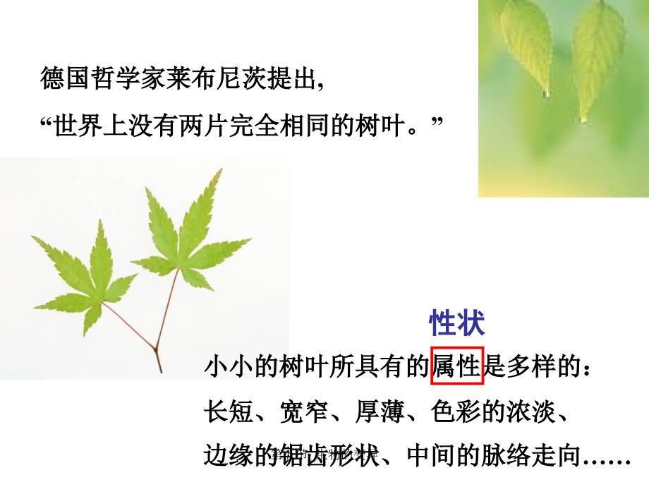 最新第五节生物的变异_第1页