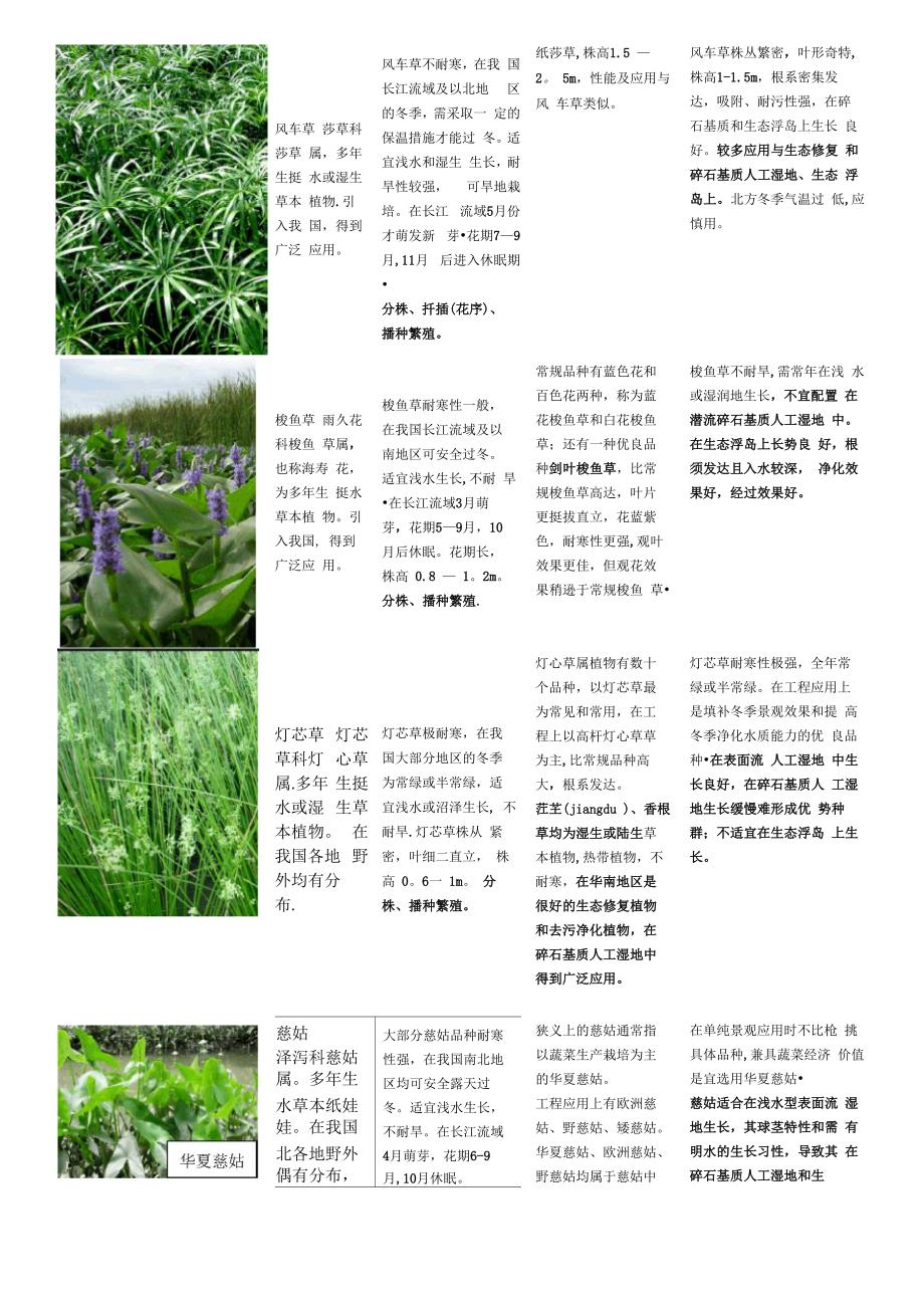 常用水生植物种类汇总_第3页