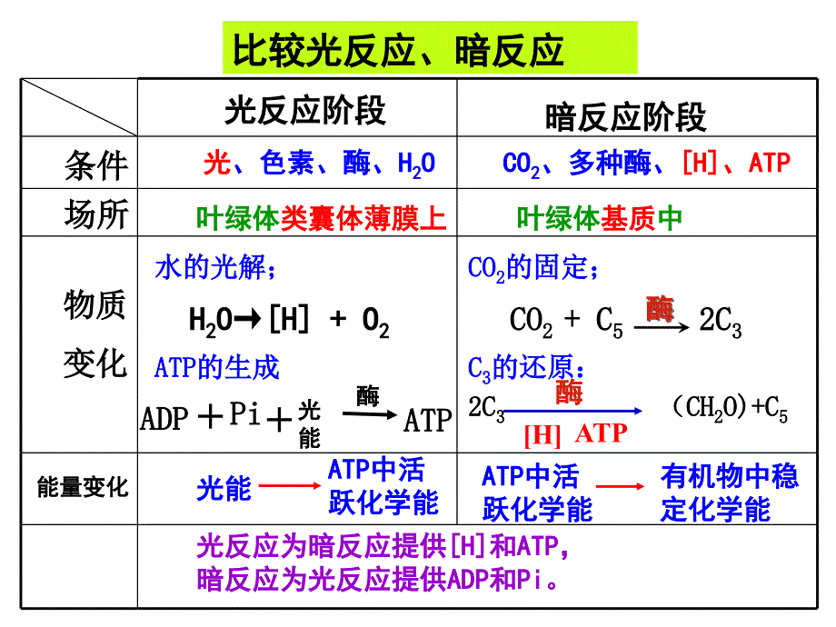 光合作用速率与光照强度课件_第3页