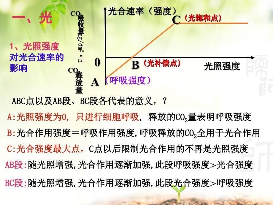 光合作用速率与光照强度课件_第5页