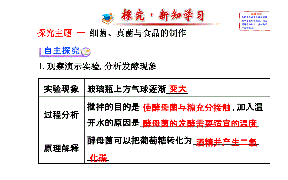 人类对细菌和真菌的利用 (4)_第2页