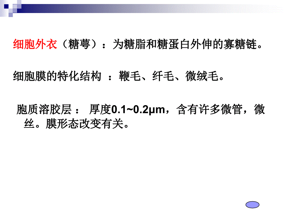 第四章细胞膜2_第3页