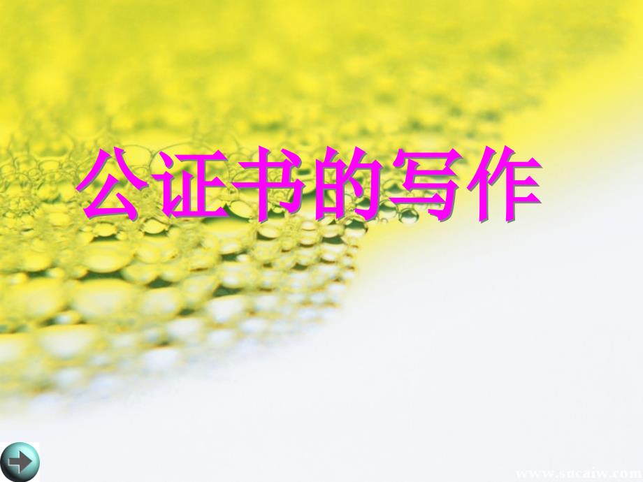 公证书的写作_第1页