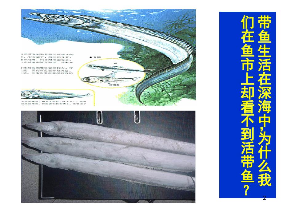 人教版初中物理液体压强.ppt_第2页