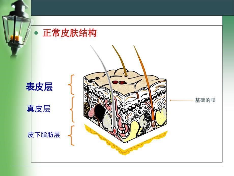 压疮相关护个案分享_第5页