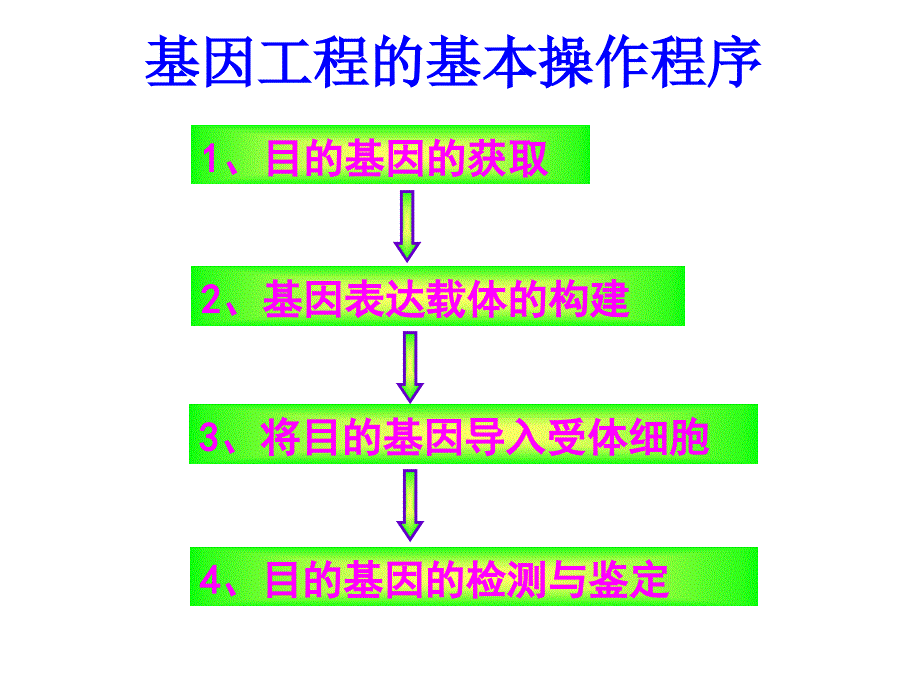 基因工程的基本操作程序四班_第2页