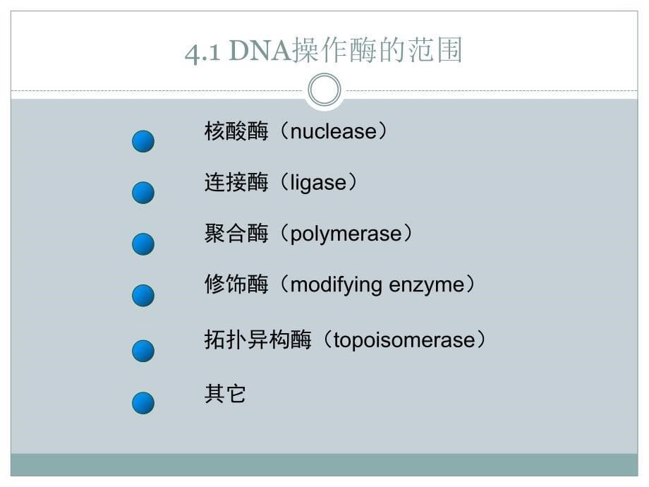 基因工程第四章12-16课时_第5页