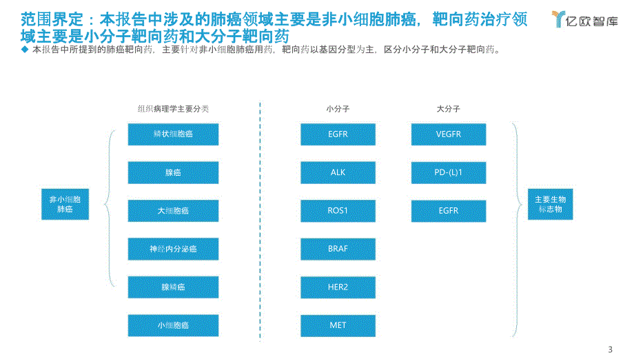 肺癌靶向药行业报告_第3页