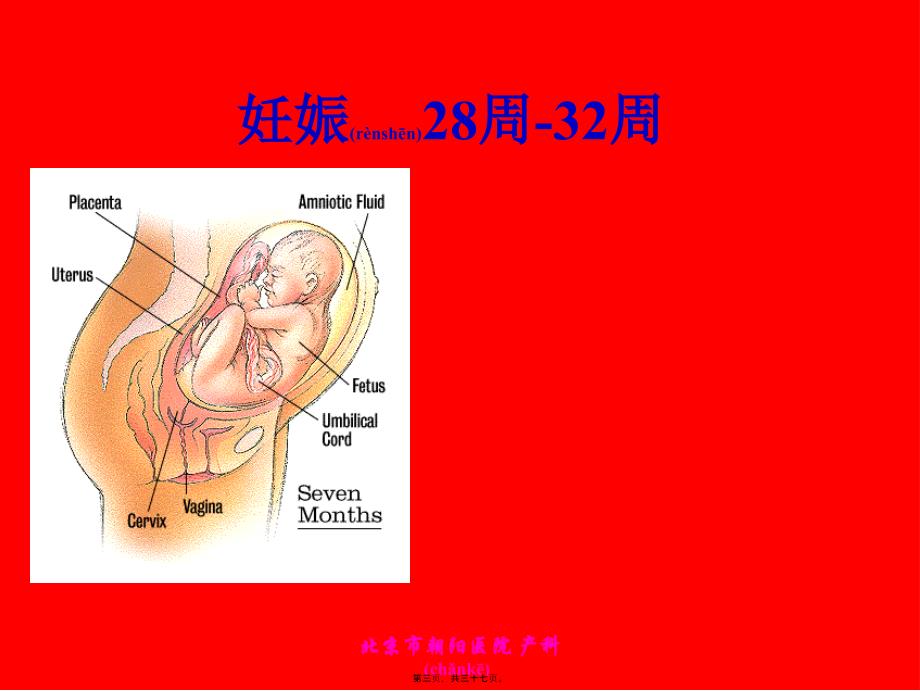 医学专题—孕妇学校第三讲35309_第3页