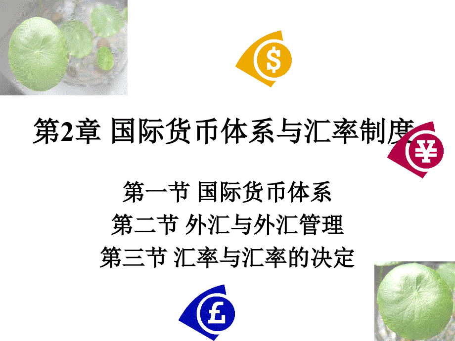 国际货币体系与汇率制度课件_第1页