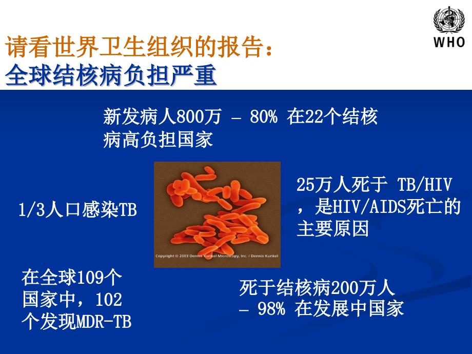 结核病控制与结核病再感染.ppt_第3页