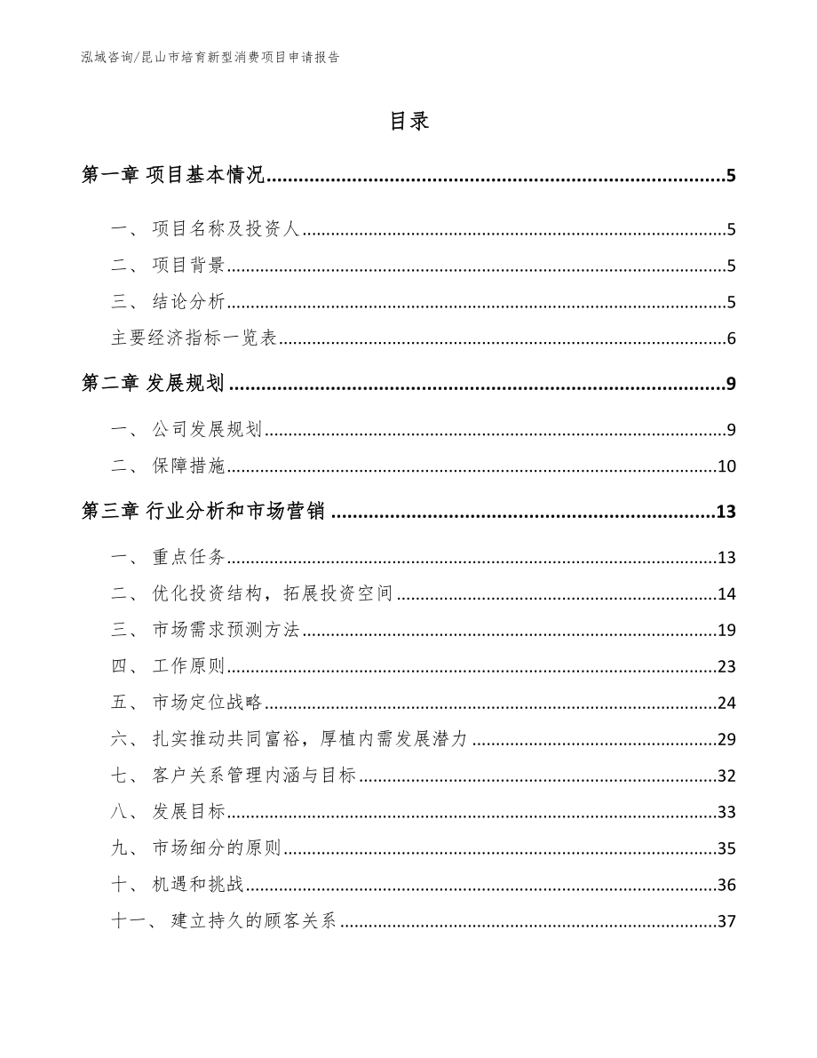 昆山市培育新型消费项目申请报告模板参考_第1页