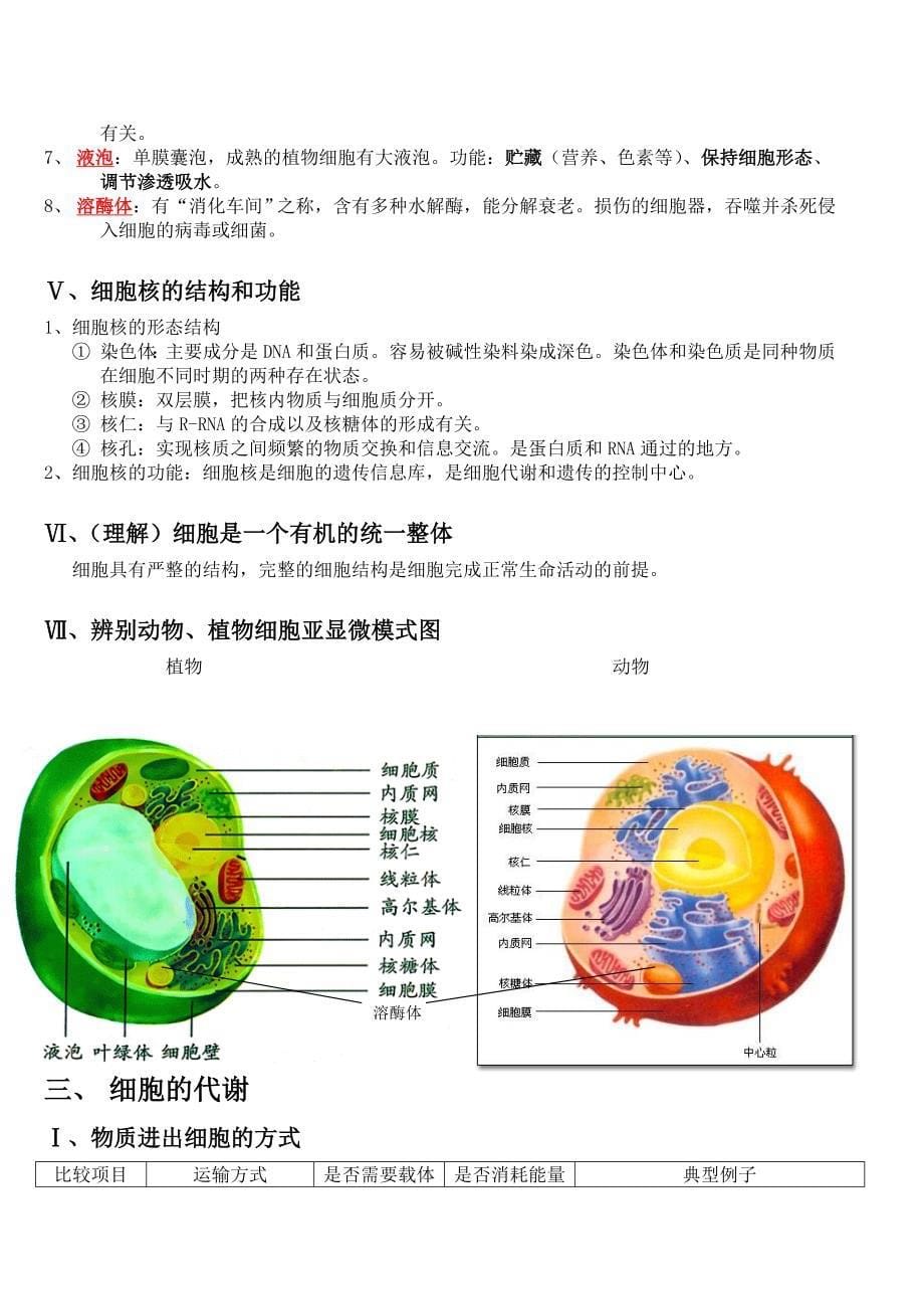 人教版高中生物必修一期末知识点梳理全解_第5页