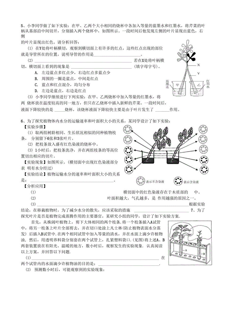 32植物体内水分的运输_第3页