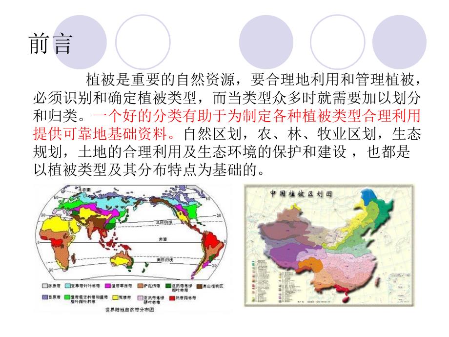 植物分类及主要类型.ppt_第3页