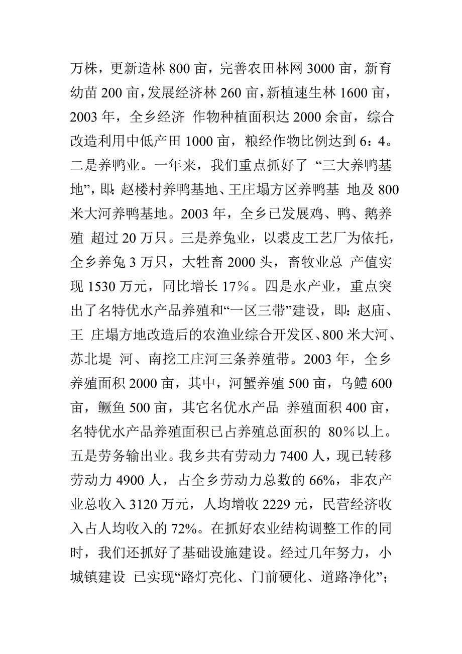 --乡镇政府工作报告_第4页