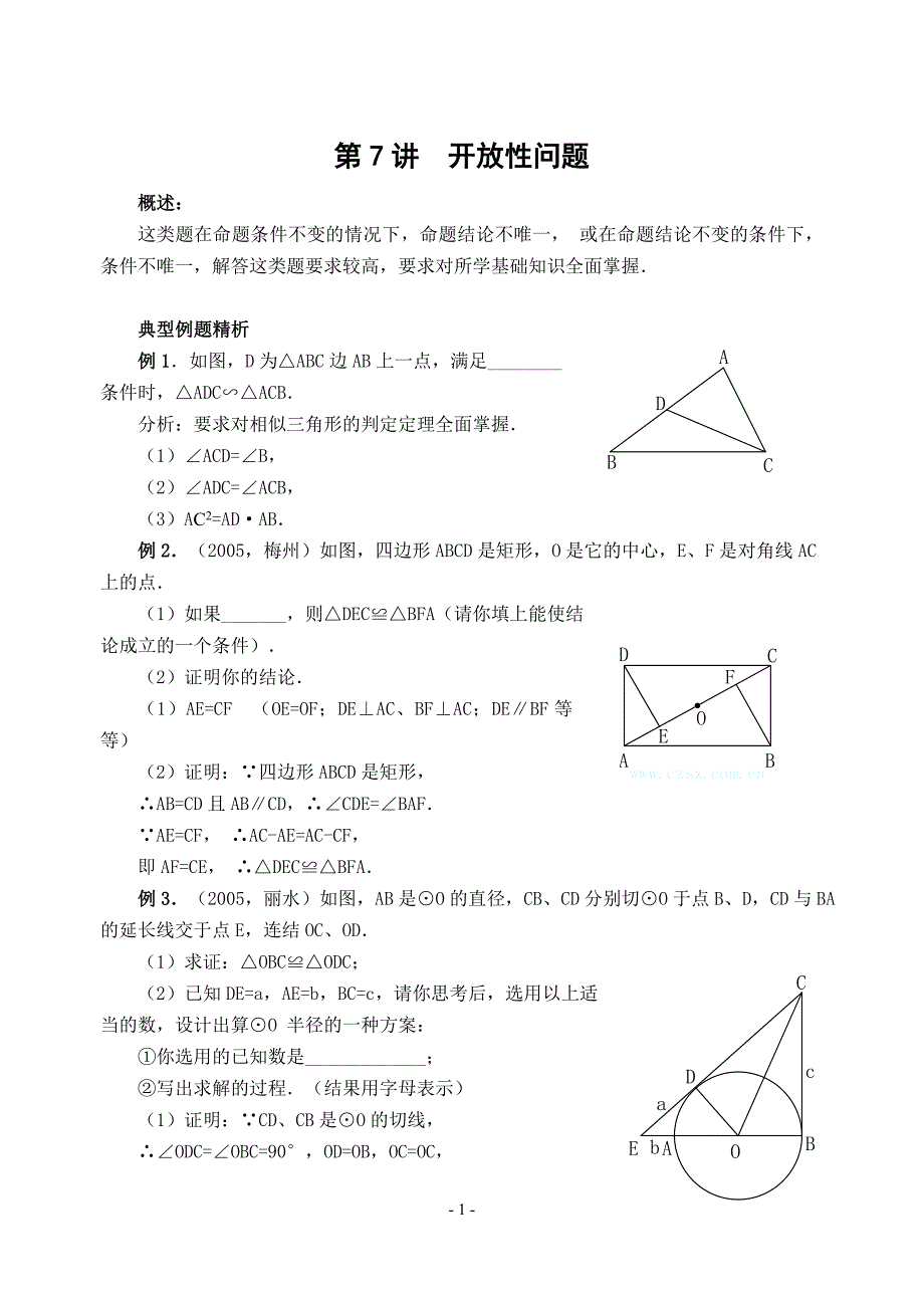 专题七 中考数学开放性问题(含答案)-.doc_第1页