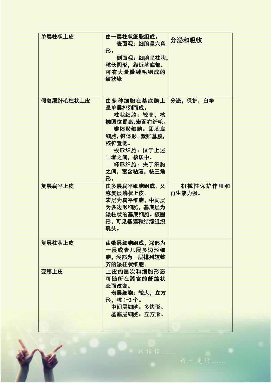 组织学与胚胎学重点_第5页