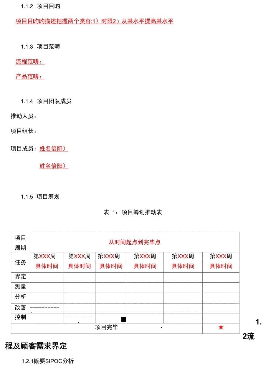 六西格玛专项项目报告模板_第5页