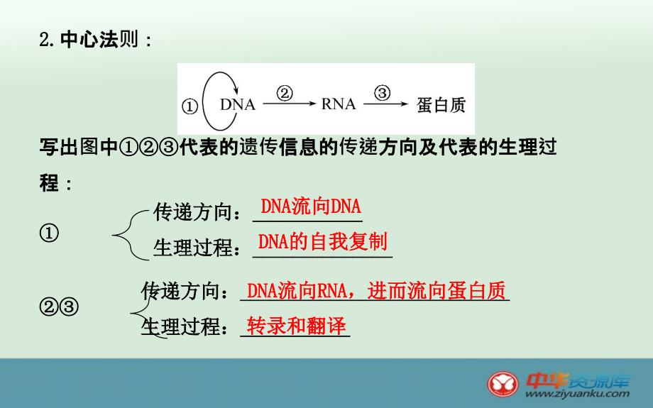 高一生物课件第章第节基因对性状的控制新人教必修二_第3页