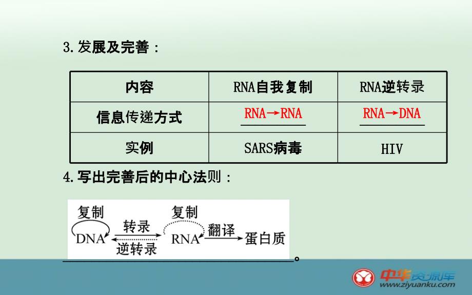 高一生物课件第章第节基因对性状的控制新人教必修二_第4页