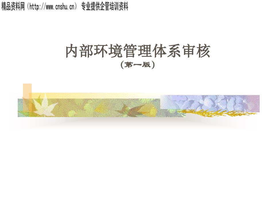 专题资料2022年14000内审教材_第1页