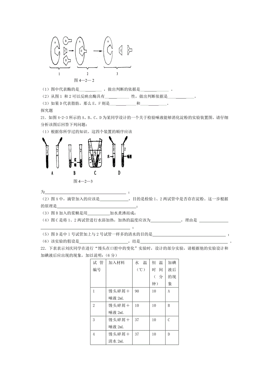 第77213号第二节食物的消化与吸收.doc_第4页