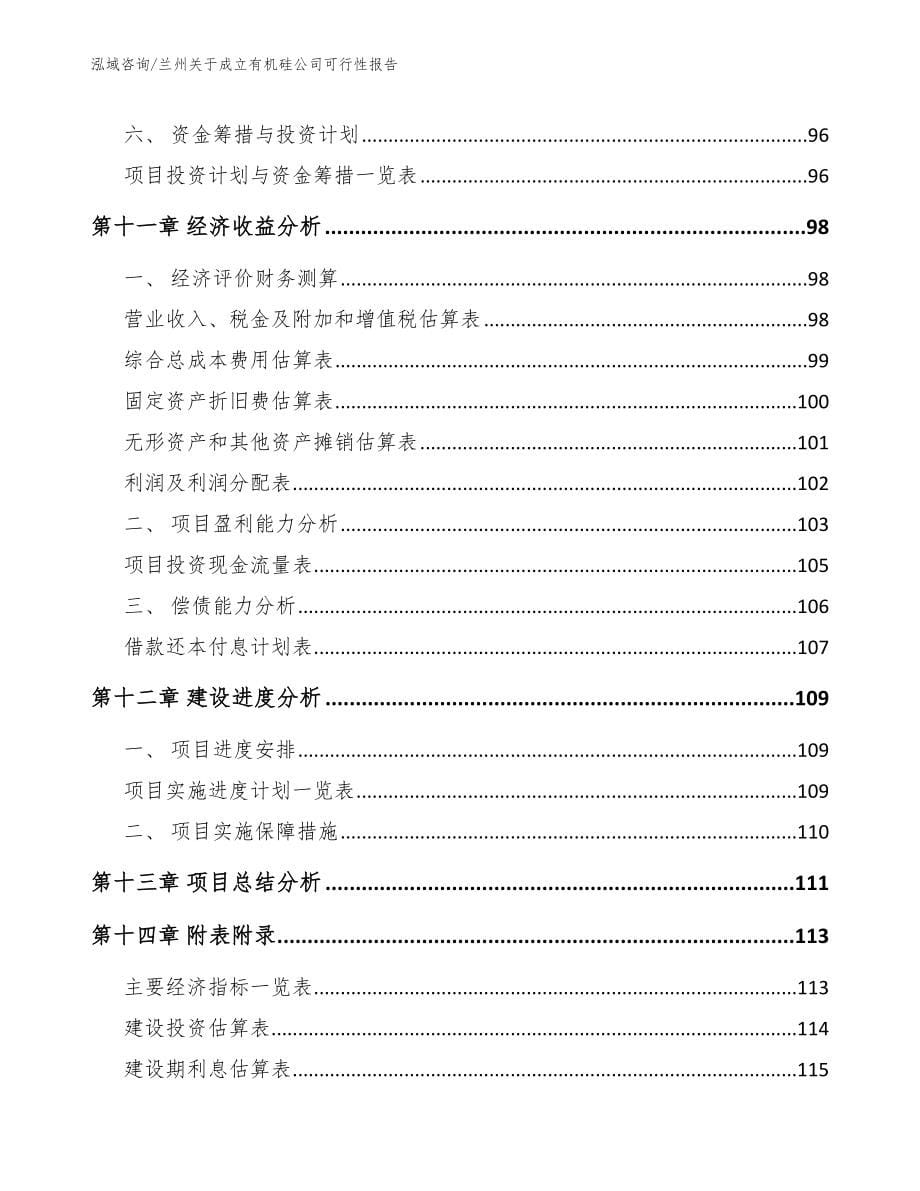 兰州关于成立有机硅公司可行性报告_第5页