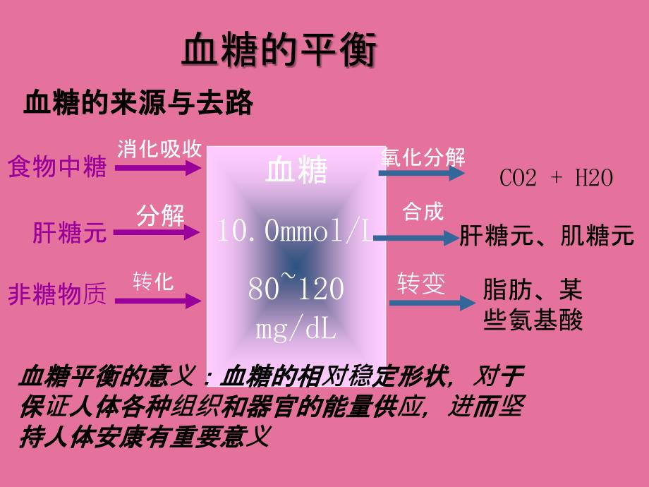 血糖调节模型构建动画ppt课件_第4页