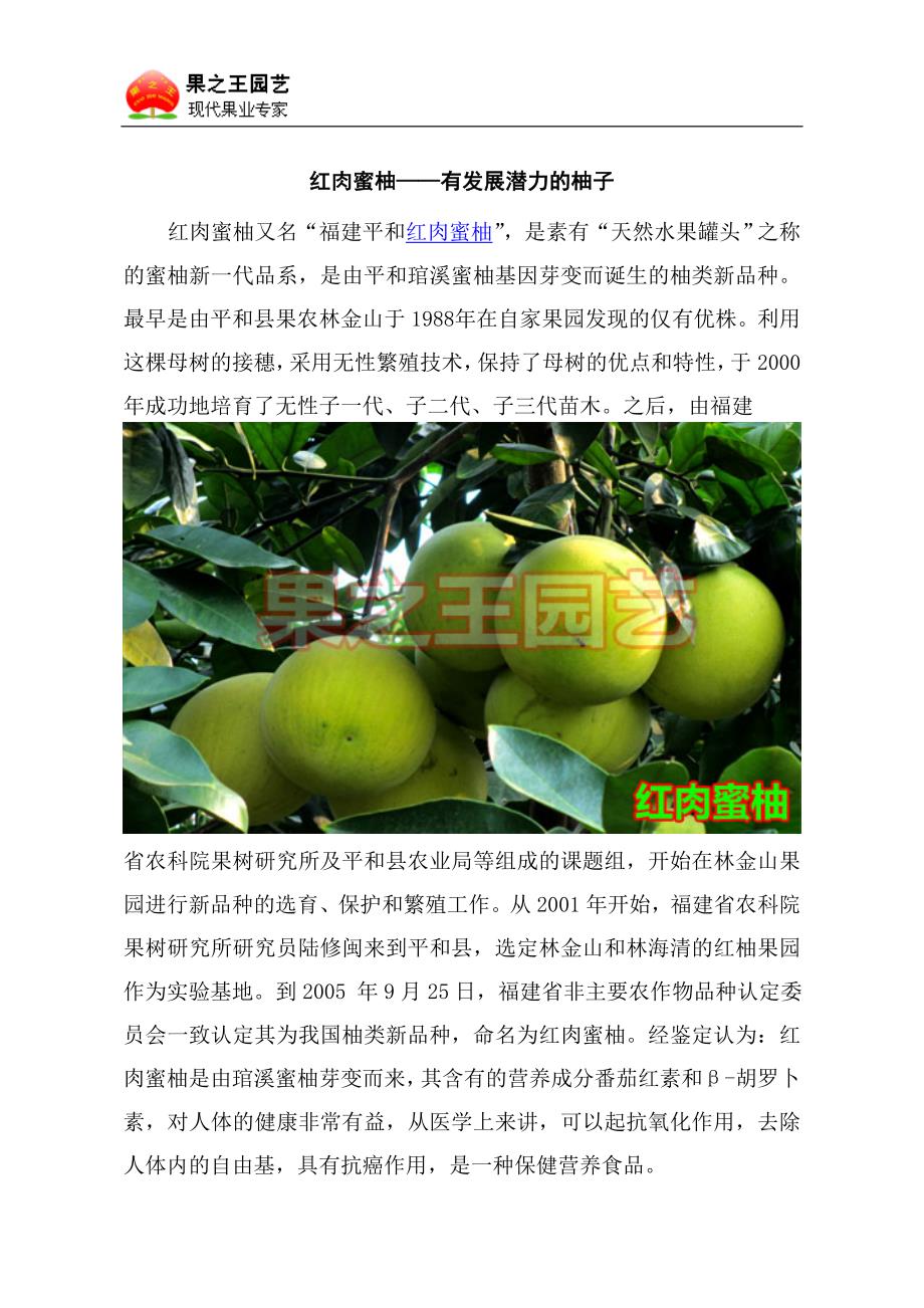 红肉蜜柚——有发展潜力的柚子.doc_第1页