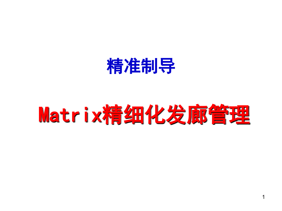 Matrix发廊管理课件_第1页