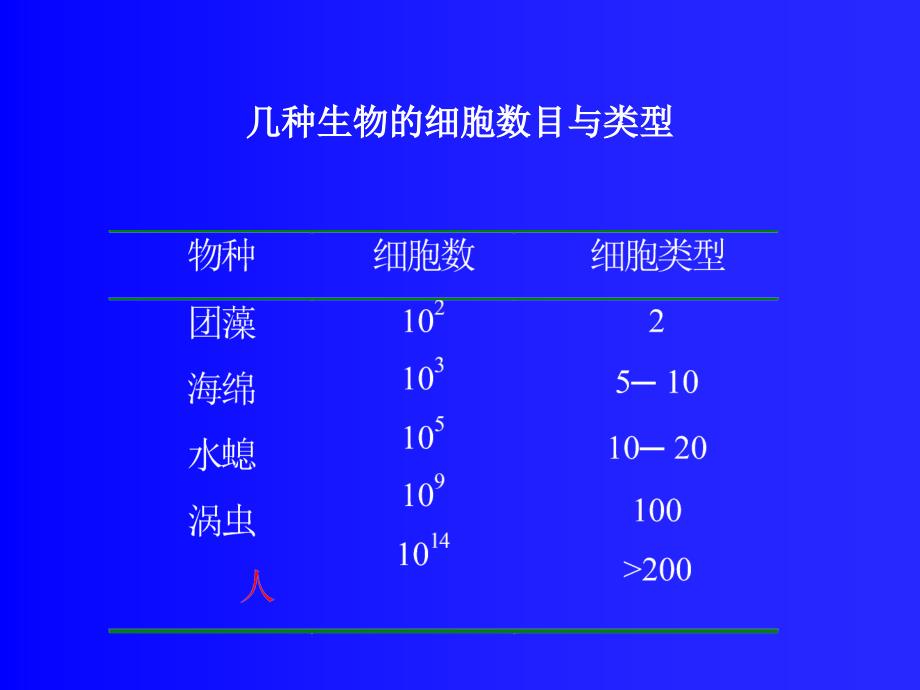 细胞分化与癌细胞10教案资料_第2页