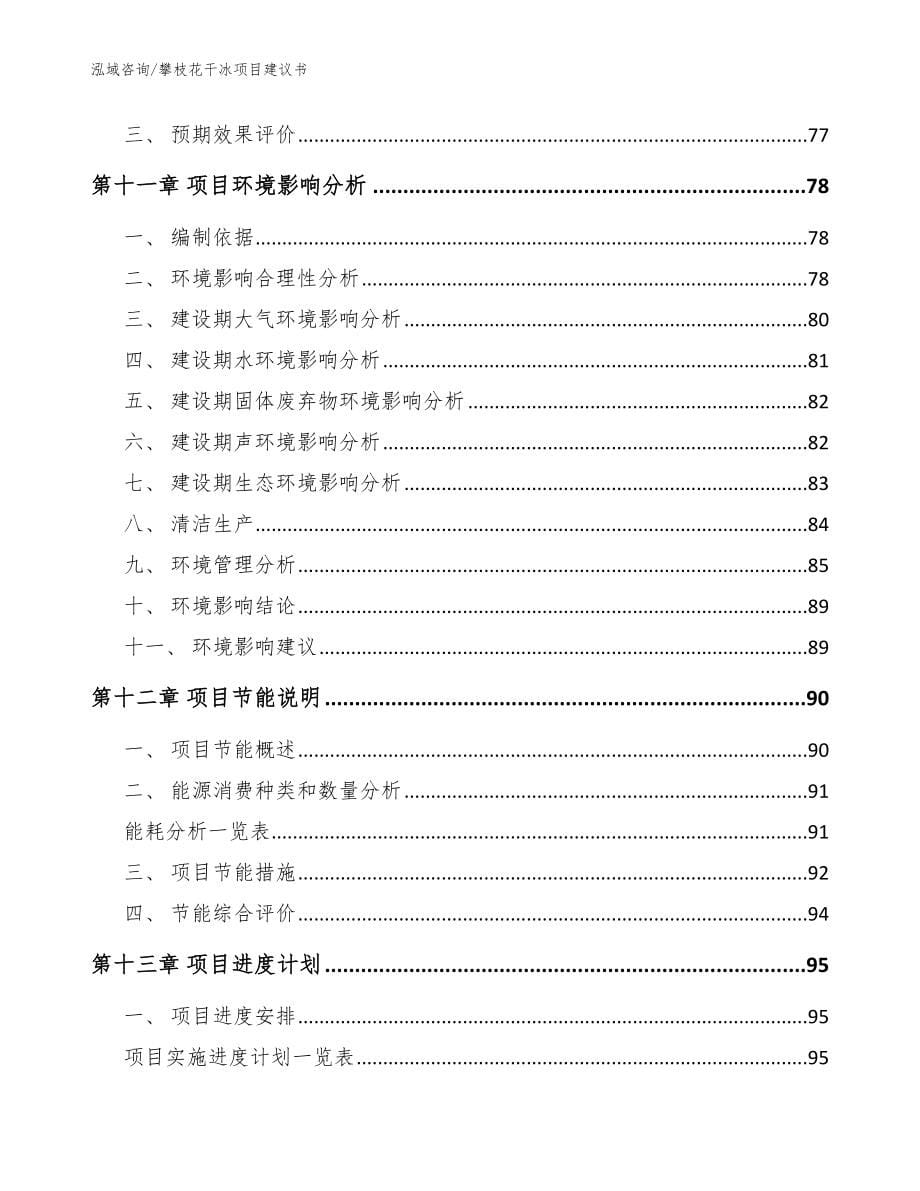 攀枝花干冰项目建议书_参考范文_第5页