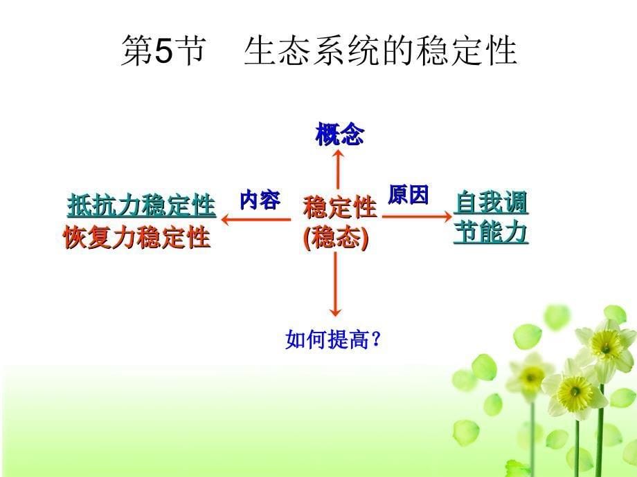 第五节生态系统的稳定性市级公开课好_第5页