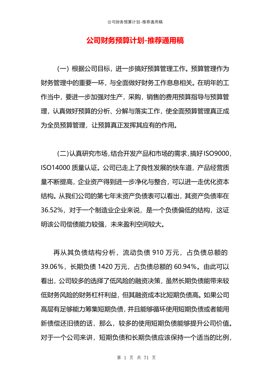 公司财务预算计划