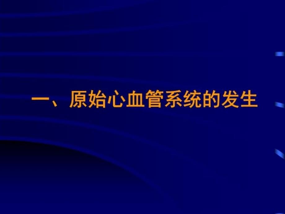 最新心血管系统组织胚胎学教学课件PPT课件_第3页