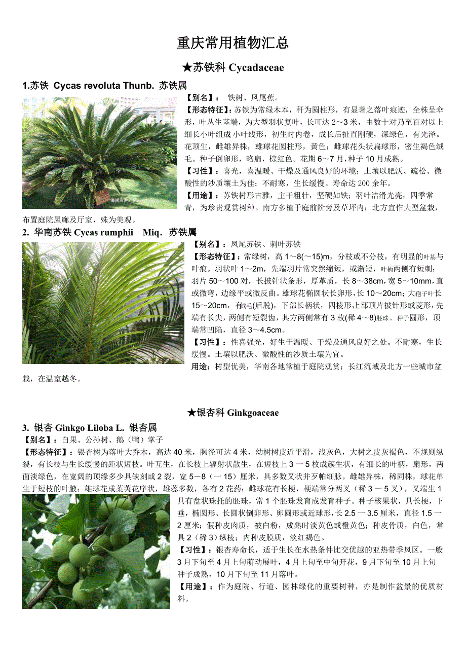 重庆植物志(裸子植物篇).doc_第1页