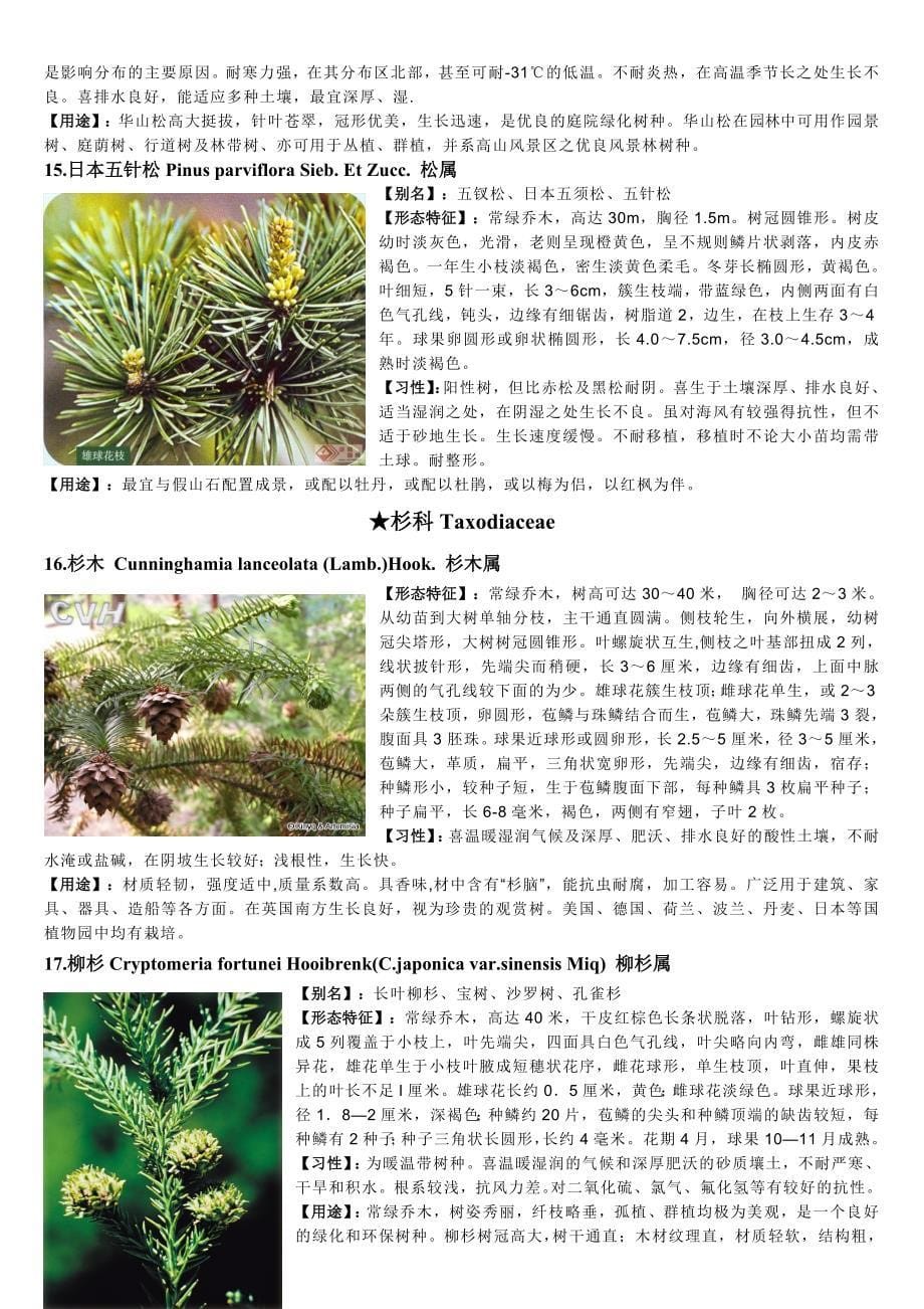 重庆植物志(裸子植物篇).doc_第5页