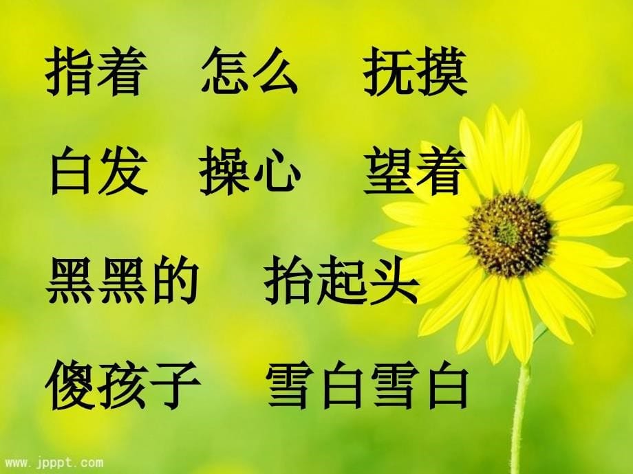 《奶奶的白发》_第5页