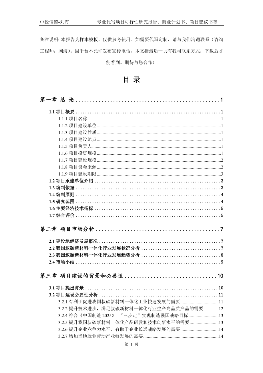 叔碳新材料一体化项目可行性研究报告模板立项审批_第2页