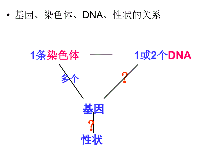 基因是有遗传效应的DNA片段_第4页