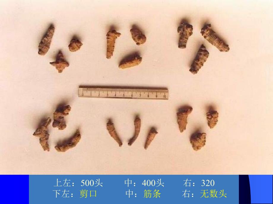 中药商品学Chinesemateriamedicacommoditylogy_第4页