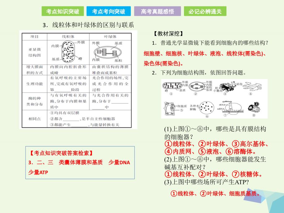 全国卷地区专用高考生物总复习第二单元细胞的基本结构与物质的运输第2讲细胞器系统内的分工合作课件共28页_第3页