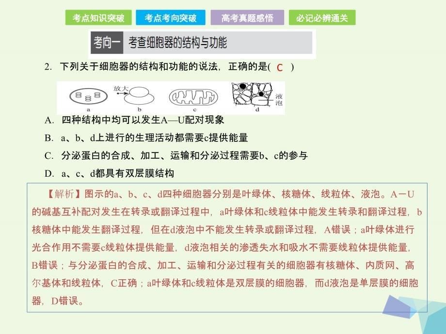 全国卷地区专用高考生物总复习第二单元细胞的基本结构与物质的运输第2讲细胞器系统内的分工合作课件共28页_第5页